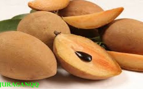 manfaat buah sawo