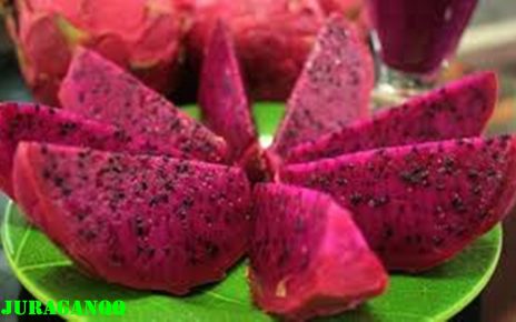 manfaat buah naga