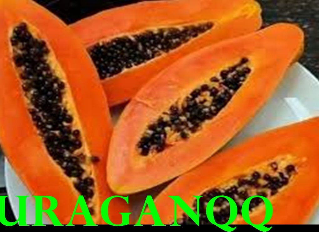 13 manfaat pepaya