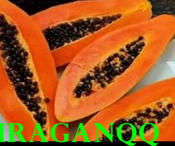 13 manfaat pepaya