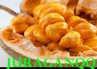 manfaat cempedak untuk
