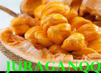 manfaat cempedak untuk