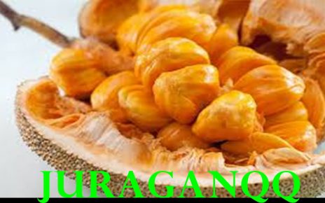 manfaat cempedak untuk