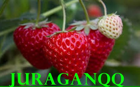 manfaat buah Strawberry