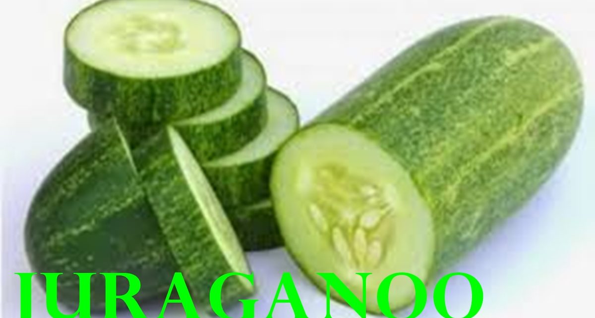 10 manfaat timun