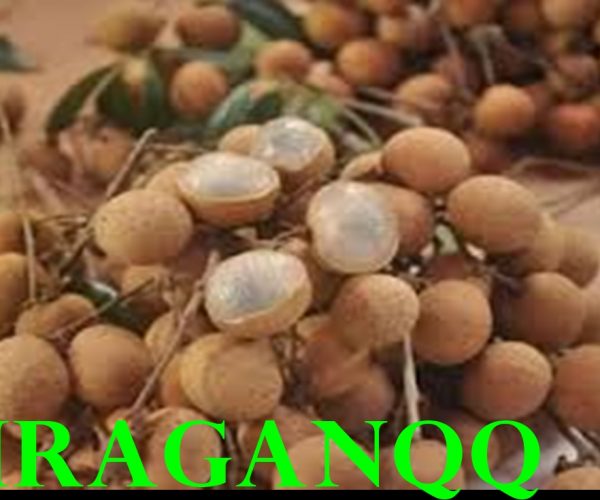 Manfaat Kelengkeng Untuk