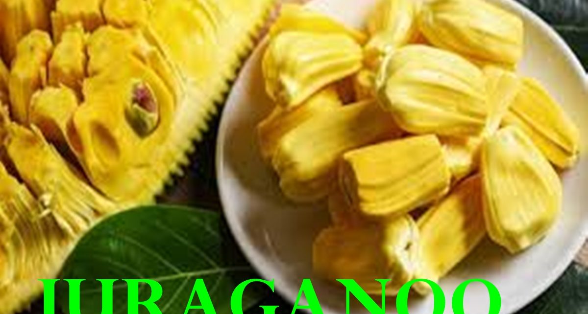 11 MANFAAT NANGKA