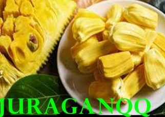 11 MANFAAT NANGKA