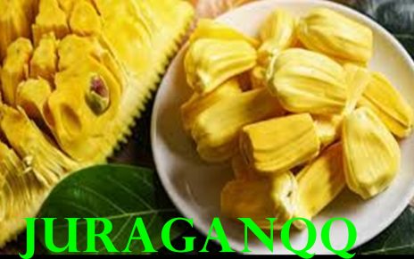 11 MANFAAT NANGKA