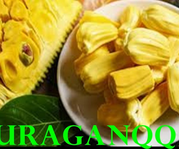 11 MANFAAT NANGKA