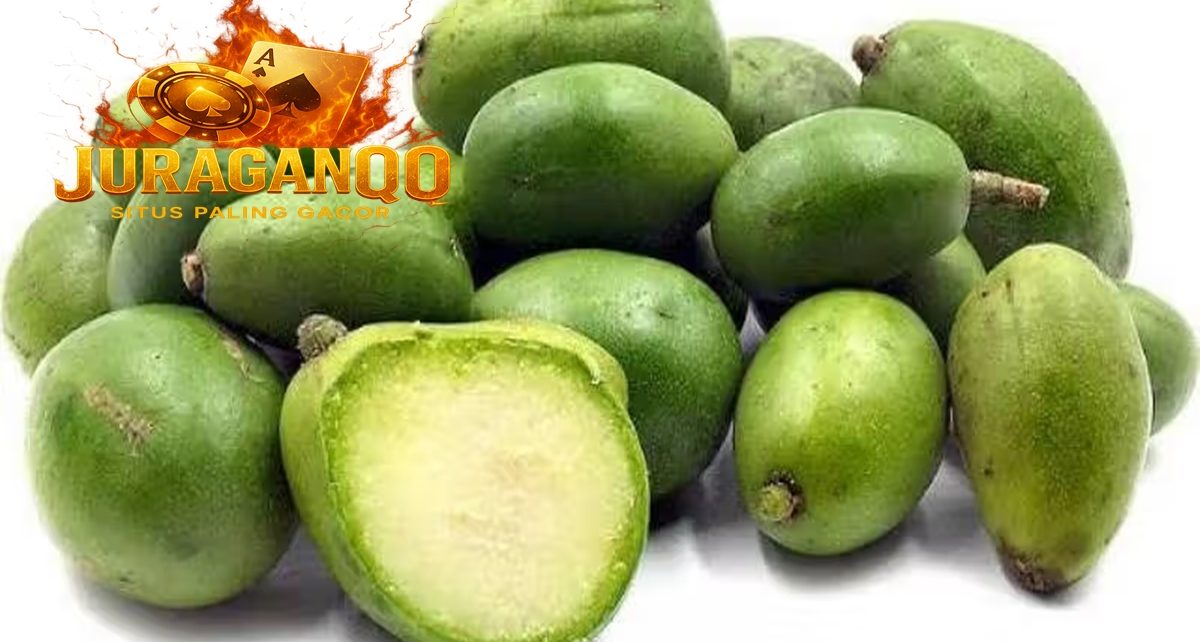 Manfaat buah Kedongdong bagi Kesehatan Tubuh