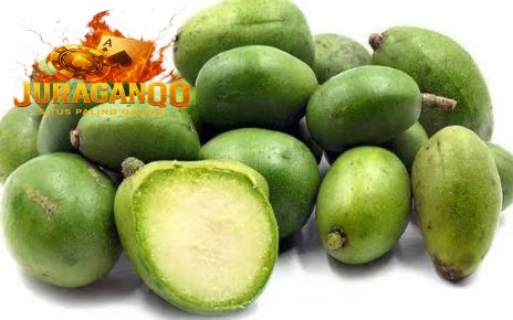 Manfaat buah Kedongdong bagi Kesehatan Tubuh
